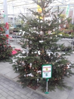 Kreismeisterschaft im Weihnachtsbaumschmücken 04